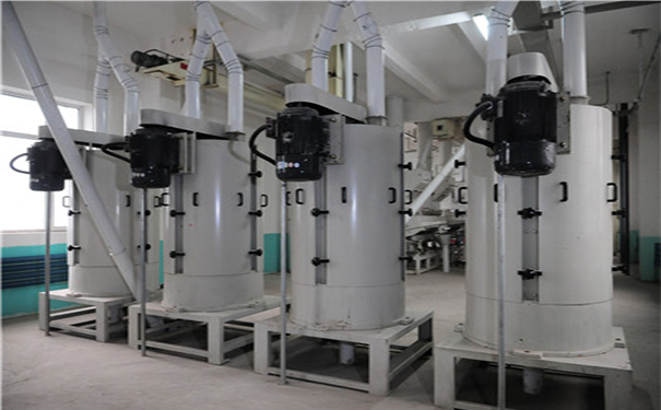 玉米提胚成套設備實拍圖片