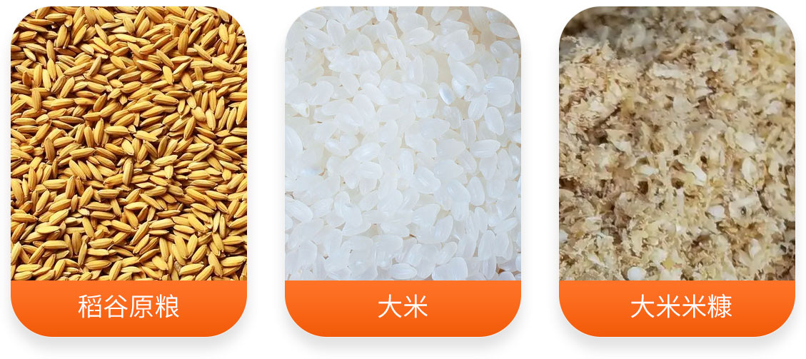 MLNZ-15T大米碾米加工成套設(shè)備產(chǎn)成品圖