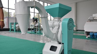 農村小雜糧加工行業的前景怎么樣?