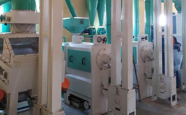 高粱米加工成套設(shè)備實拍圖片