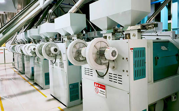 HTD系列大麥脫皮機實拍圖片