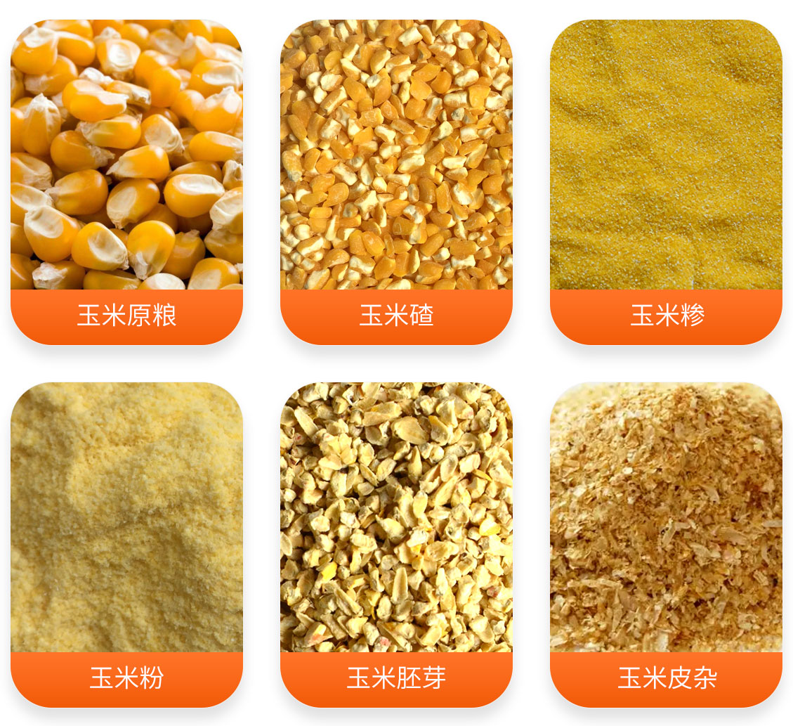 玉米提胚成套設備產成品圖