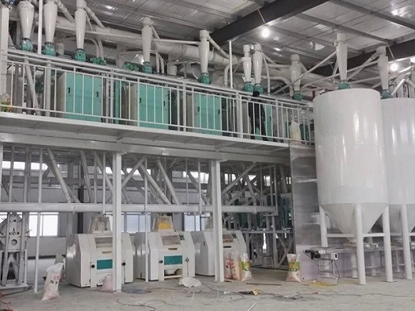 蕎麥面加工設備