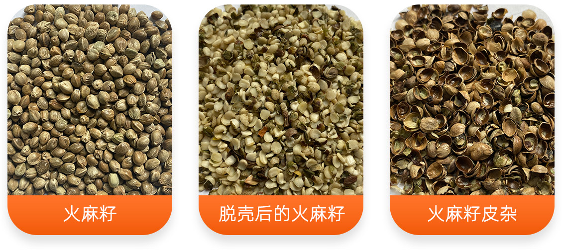 火麻籽脫殼成套設備產成品圖