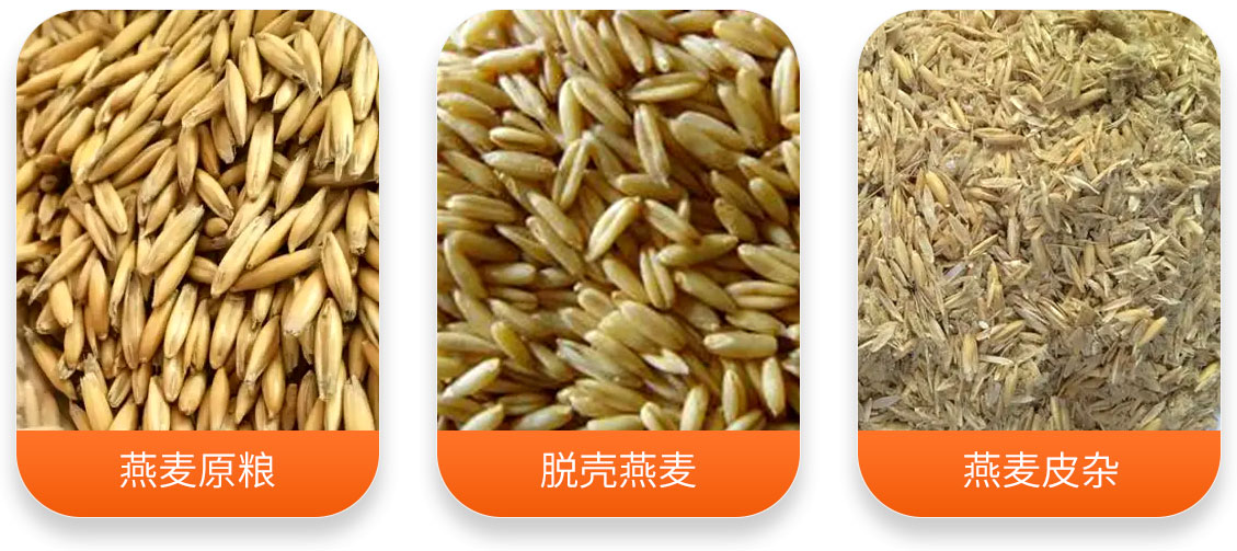 燕麥脫殼成套設備產成品圖